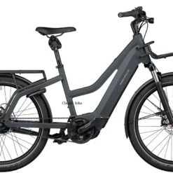 Riese & Muller Multicharger Mixte GT Vario