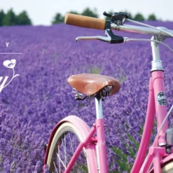 Pashley Poppy 3-vaihteinen Naisten Pyörä- Sininen -Sähköpyörät Myymälä products pashley poppy a8236