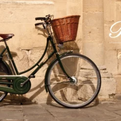 Pashley Princess Sovereign 8- Vihreä -Sähköpyörät Myymälä products pashley princess sovereign a8246 1