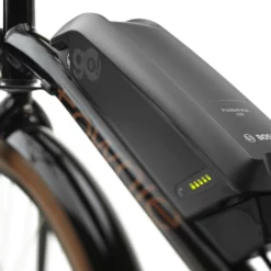 Electra Townie GO! 5i Miesten Sähköpyörä – Vihreä 13 Electra Townie GO! 5i Miesten Sähköpyörä – Vihreä -Sähköpyörät Myymälä townie go bosch powerpack 500 kaupunkipyora